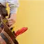 Handyman repair service in Mobile, AL for home fixes and improvements
